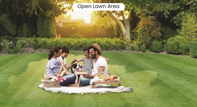 Open Lawn Area