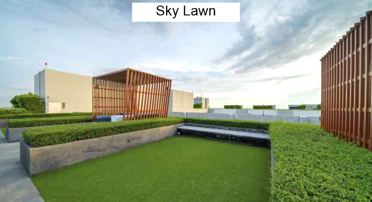 Sky Lawn