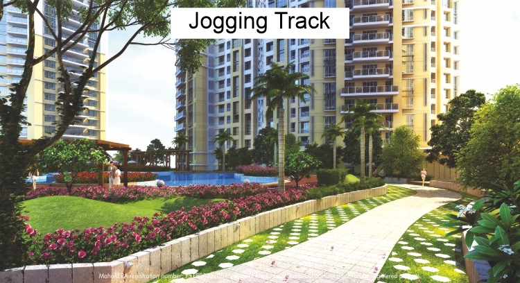 Senroofs Senon - Jogging Track