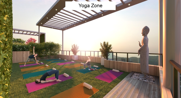 Level - Yoga Zone