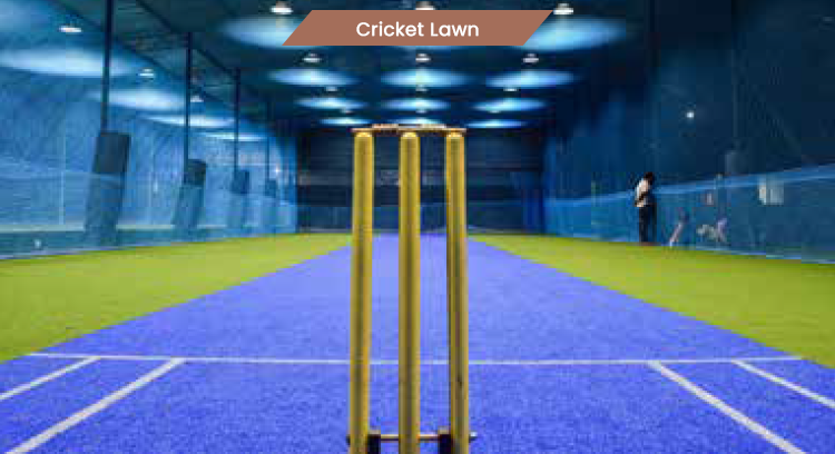 Cricket Lawn