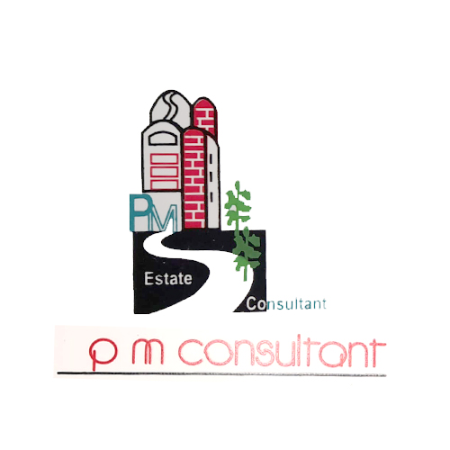 P M Consultant