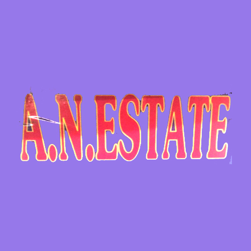 A N Estate Consultancy