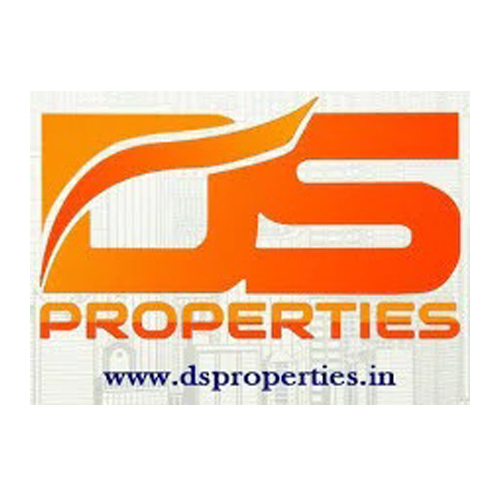 DS PROPERTIES