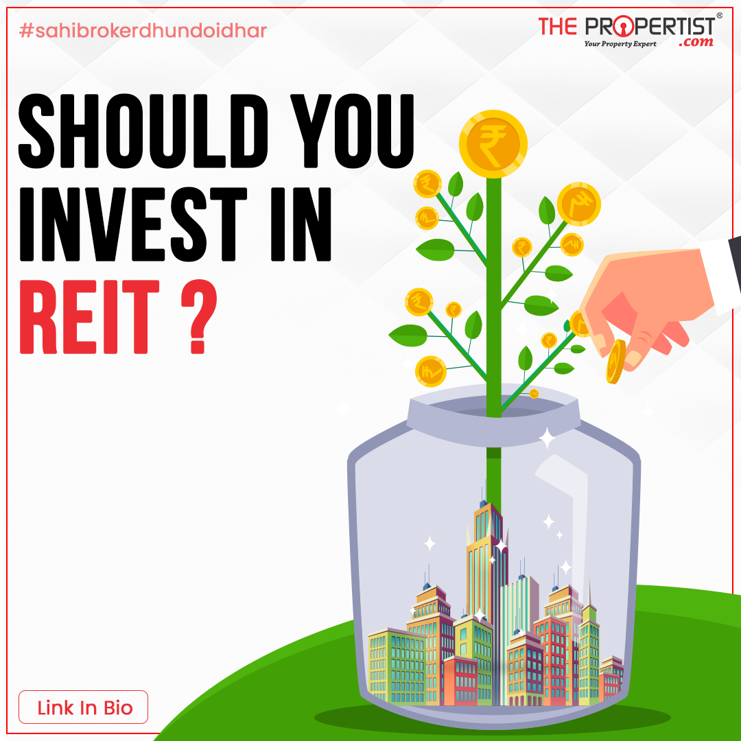 Should you invest in REIT - Real Estate Investment Trusts