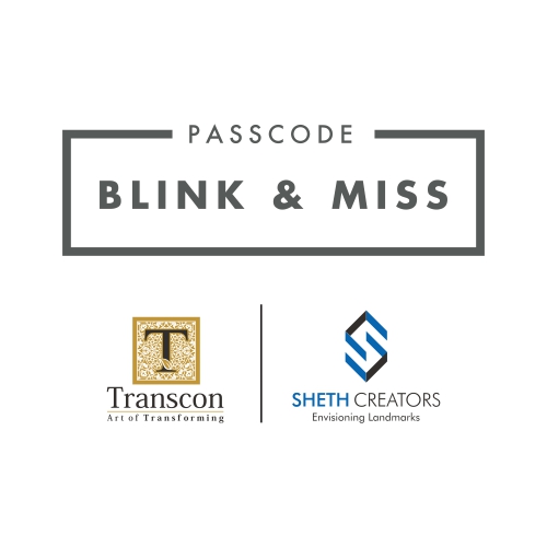 Passcode Blink & Miss